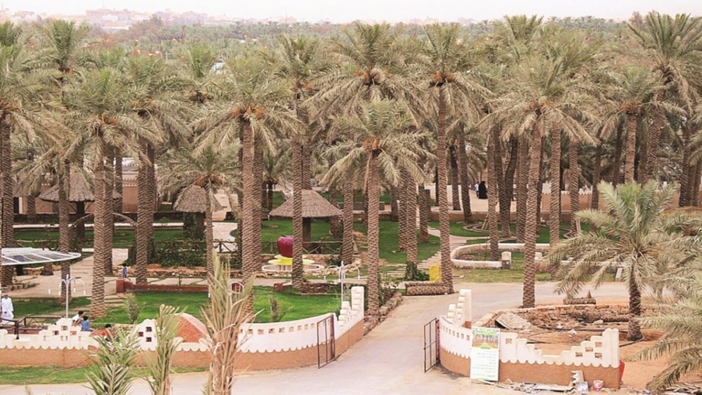 صورة 1