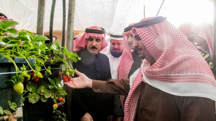 صورة 1